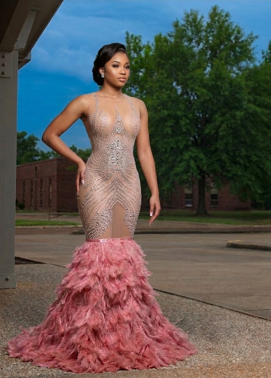 Paris Rhinestone Feather Gown
