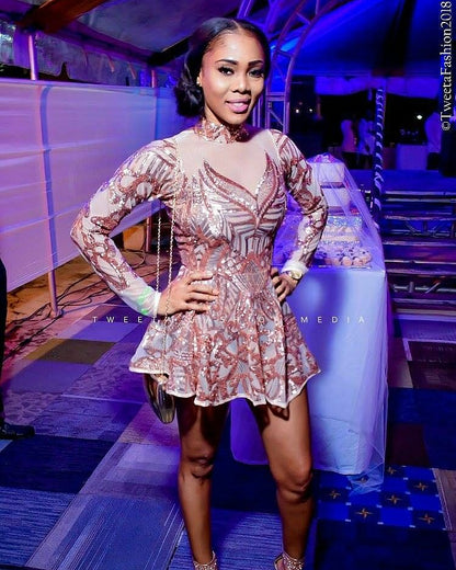 Surya Long Sleeve Sequin Skater Dress