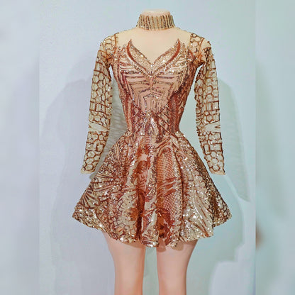 Surya Long Sleeve Sequin Skater Dress